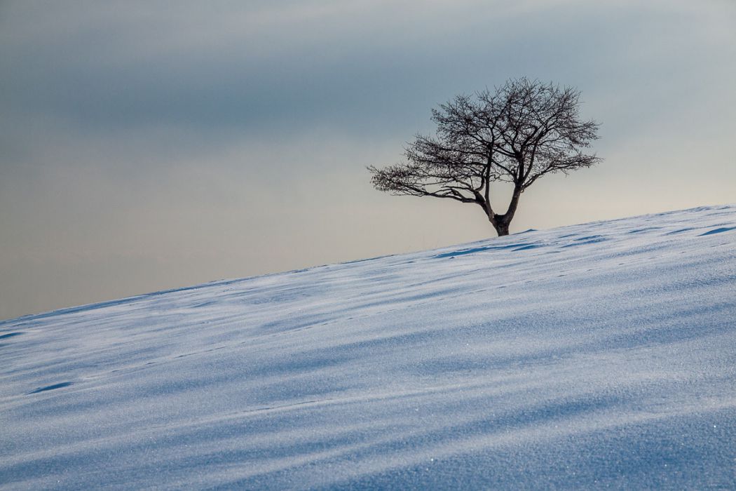 02172013 P2178660 Edit rid  3 2 