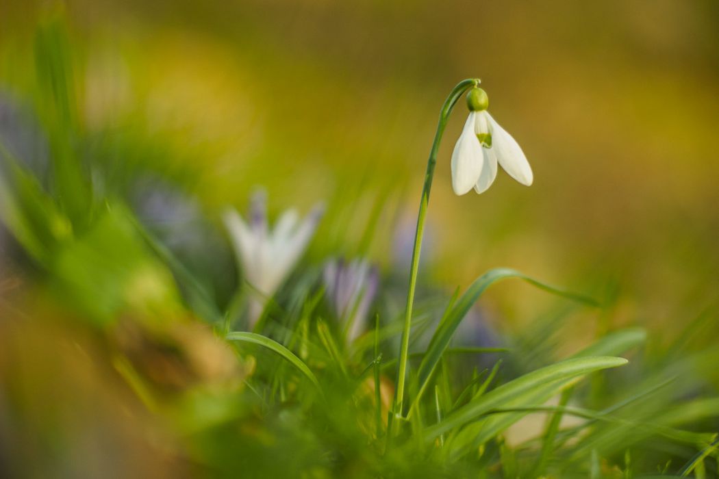 03072015  3070620 rid  3 2 