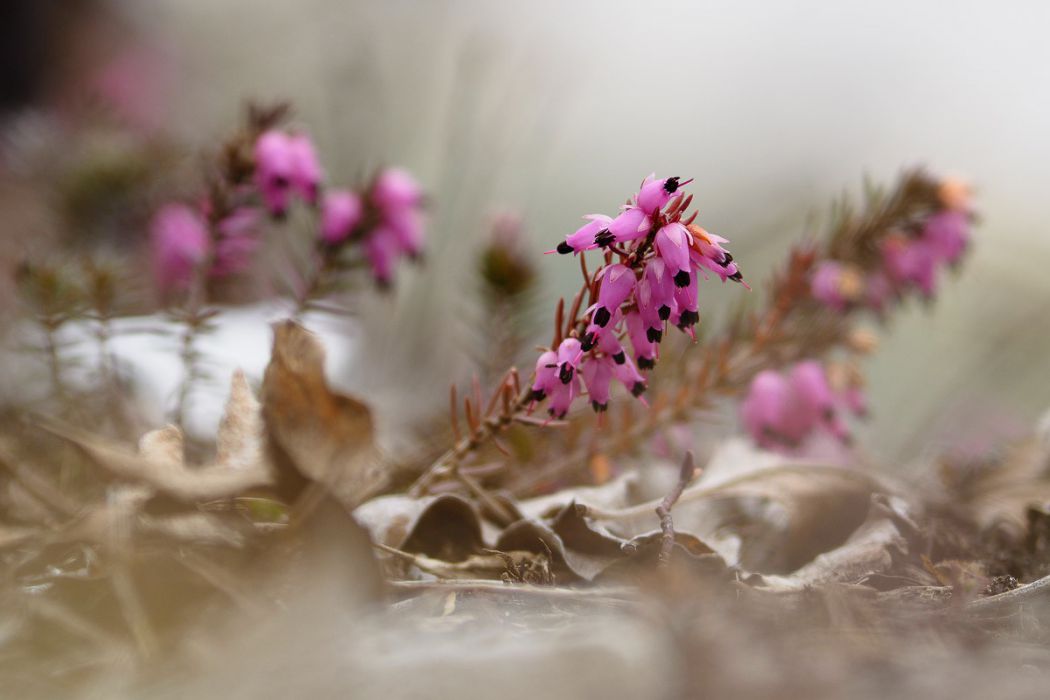 03212015  3210178 rid  3 2 