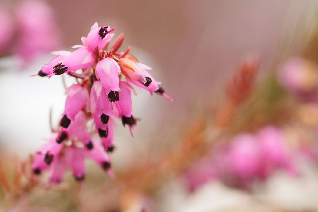 03212015  3210185 rid  3 2 