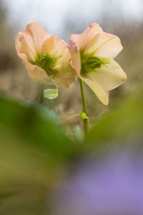 03212015  3210283 Modifica1 rid  3 2 