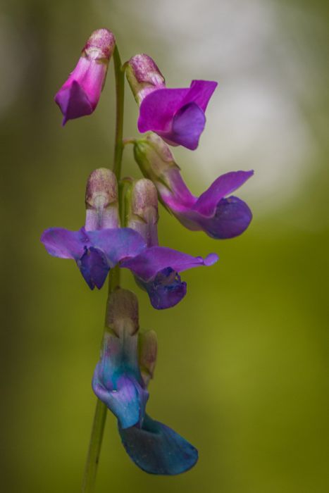 05012013 P5019660 rid  3 2 