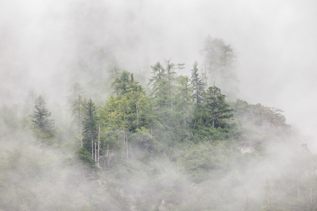 08262012 Islanda2012 20120826 143659 043 rid