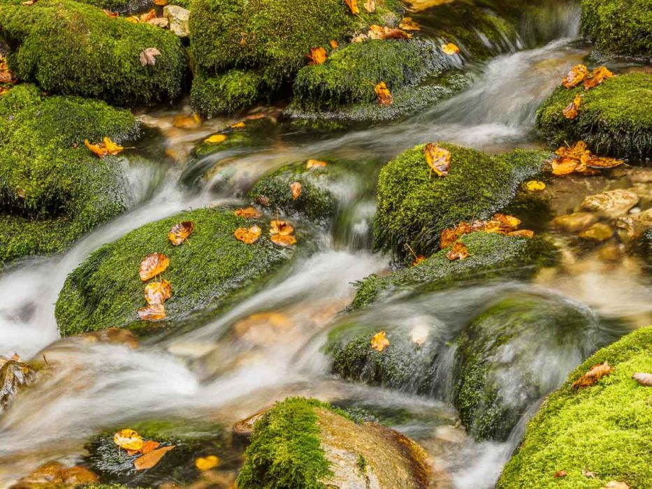 10122014  A120102 rid