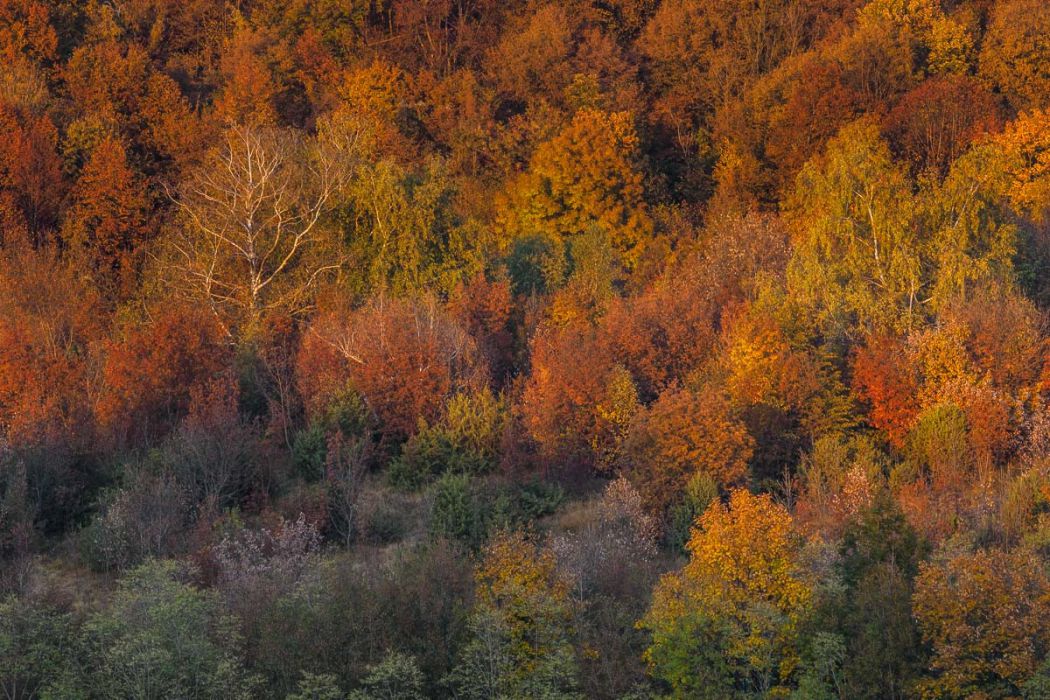 10302016  A300043 rid  3 2 