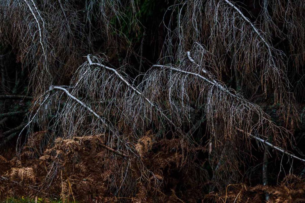 11022019 20191102 084926  B020019 E M1 2 rid