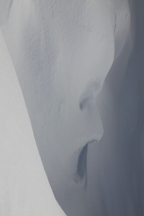 P1268618