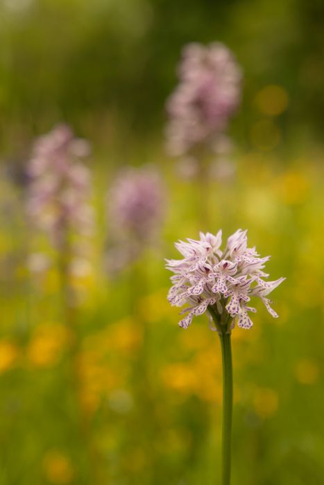 05032014 P5032100 2 rid