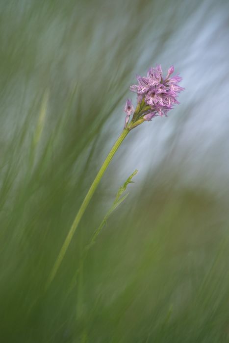 05052015  5050833 rid