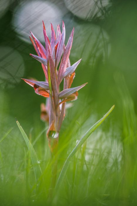 05242015  5240812 rid  3 2 