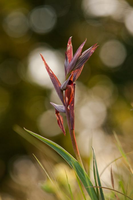 05252014 P5253595 1 rid