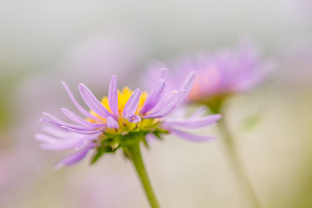 07202014  7200210 rid