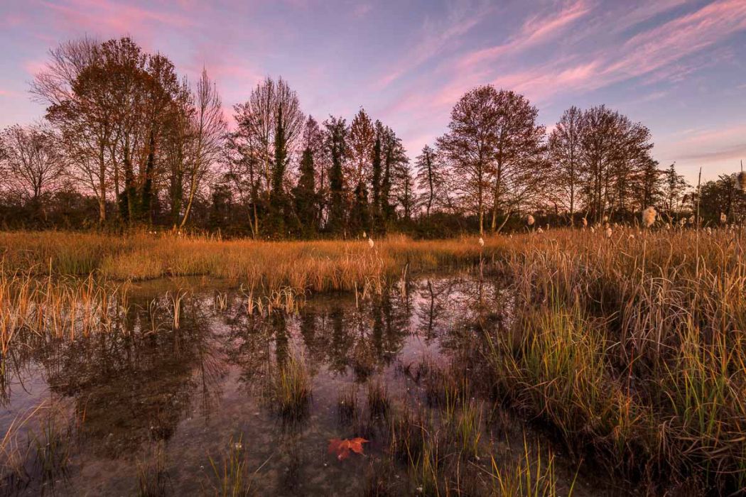 20201122 173841  B220077