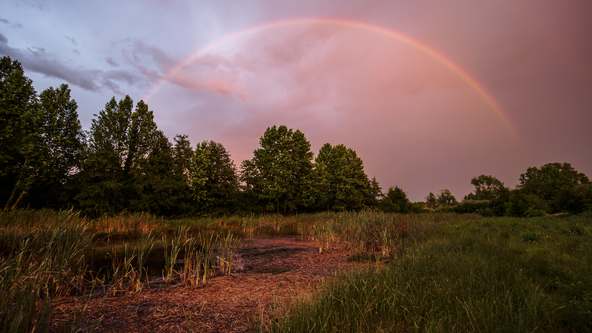 06072017__6070390-Edit